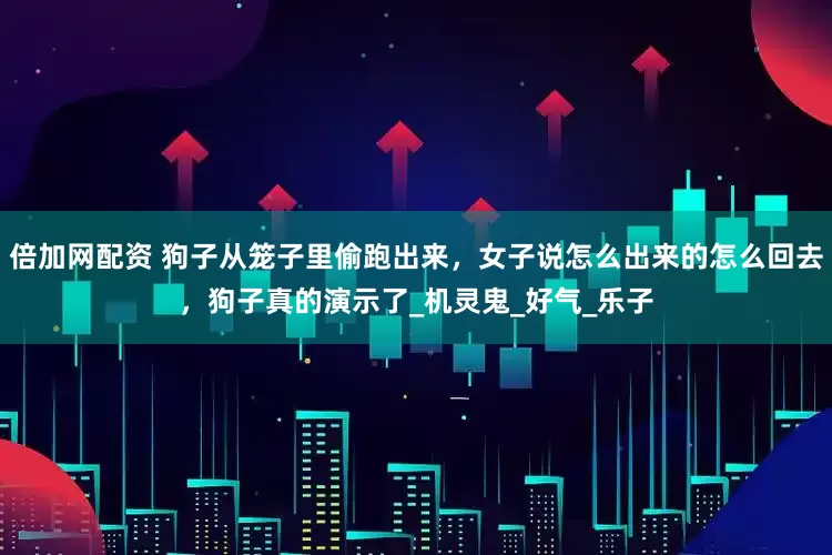 倍加网配资 狗子从笼子里偷跑出来，女子说怎么出来的怎么回去，狗子真的演示了_机灵鬼_好气_乐子