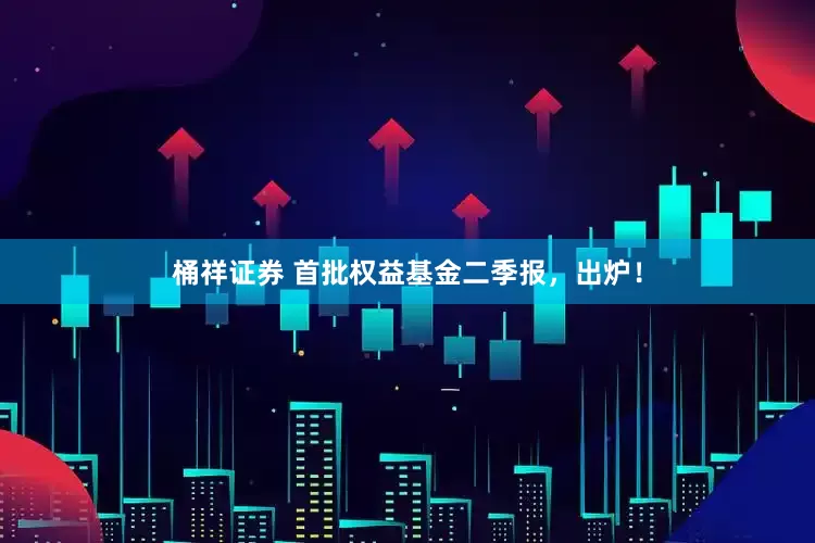 桶祥证券 首批权益基金二季报，出炉！