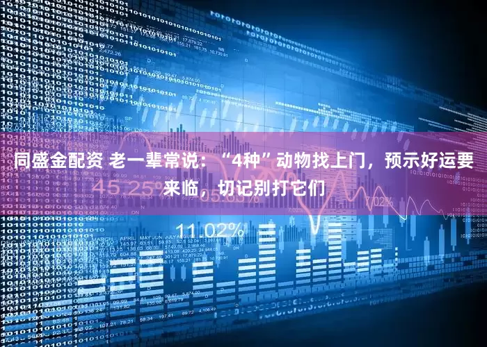 同盛金配资 老一辈常说：“4种”动物找上门，预示好运要来临，切记别打它们