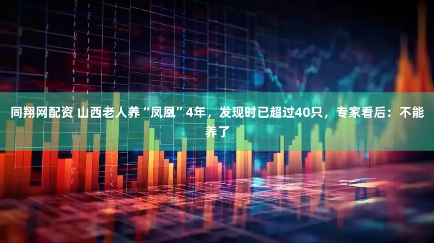 同翔网配资 山西老人养“凤凰”4年，发现时已超过40只，专家看后：不能养了
