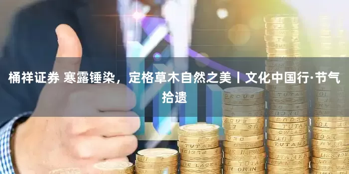 桶祥证券 寒露锤染，定格草木自然之美丨文化中国行·节气拾遗