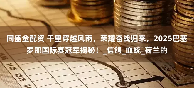 同盛金配资 千里穿越风雨,荣耀奋战归来,2025巴塞罗那国际赛冠军揭秘!_信鸽_血统_荷兰的